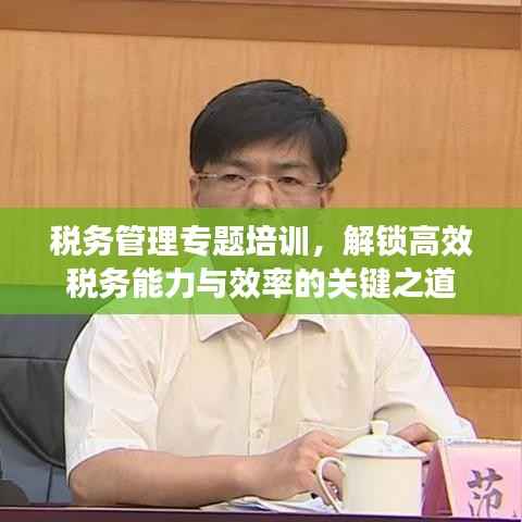 税务管理专题培训，解锁高效税务能力与效率的关键之道