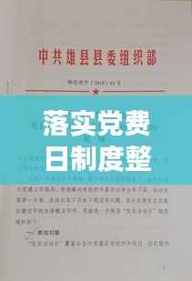 落实党费日制度整改,深化党的组织建设,筑牢基层战斗堡垒